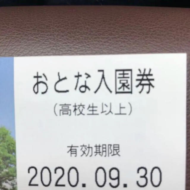 富士サファリパーク 入園券 チケットの施設利用券(遊園地/テーマパーク)の商品写真