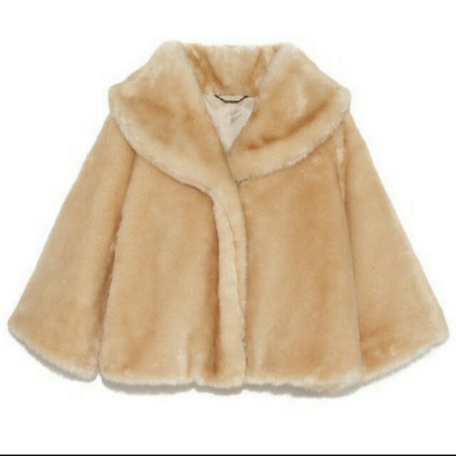 fur coat 2