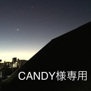 CANDY様専用です！(その他)