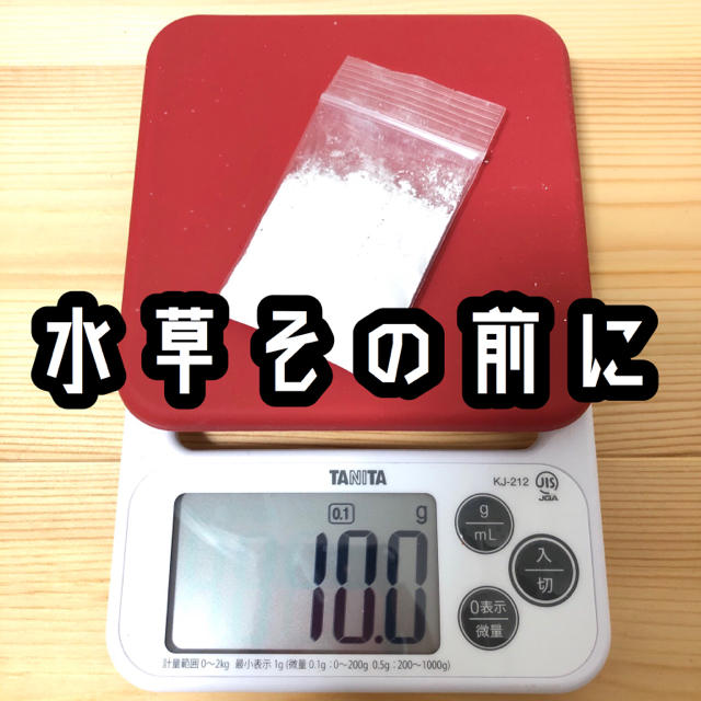 水草その前に 10g （20L分） その他のペット用品(アクアリウム)の商品写真