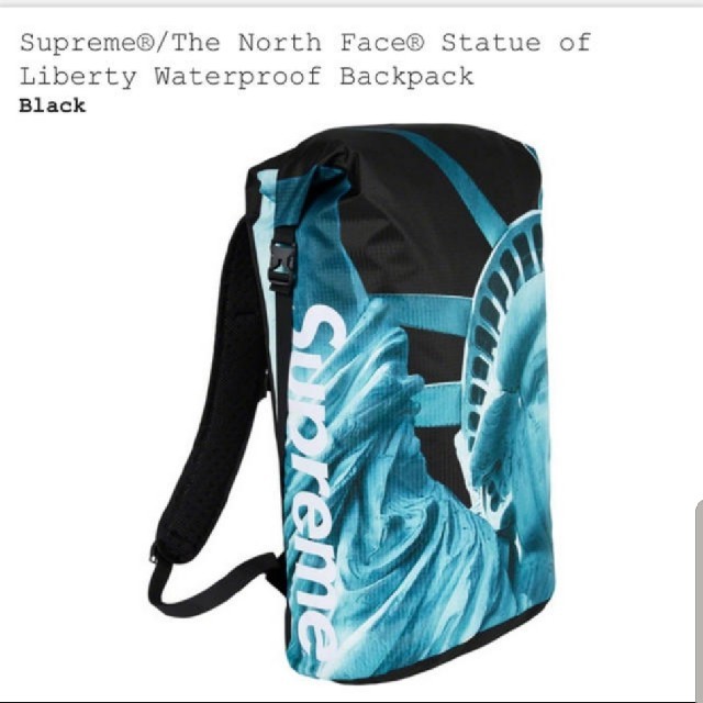 Supreme The North Face backpackバッグ
