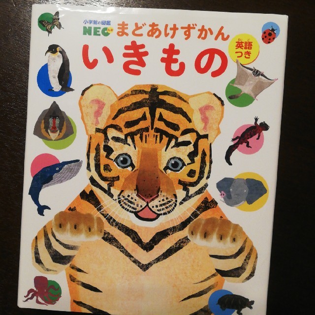 小学館(ショウガクカン)のまどあけずかん　いきもの　小学館　NEO エンタメ/ホビーの本(絵本/児童書)の商品写真