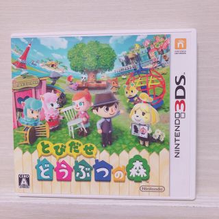 【蝶華様専用】とびだせ どうぶつの森 3DS(携帯用ゲームソフト)