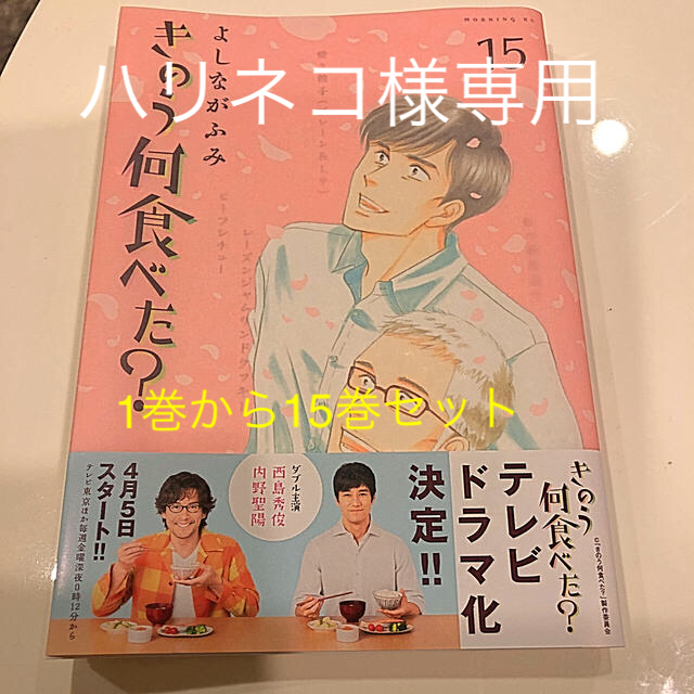 講談社(コウダンシャ)のきのう何食べた？1巻から１５巻 セット ビニールカバー付き エンタメ/ホビーの漫画(青年漫画)の商品写真