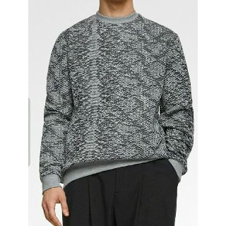 ザラ(ZARA)のザラ ZARA MAN タイガー プリント スウェット M 40 メンズ(スウェット)