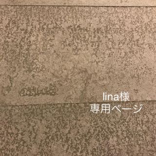 lina様 専用ページ(イヤリング)