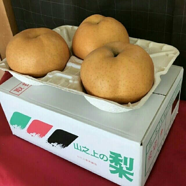 産地直送梨(正規品) ⬛ 愛宕梨 ⬛ ４.５㎏ ⬛ 食品/飲料/酒の食品(フルーツ)の商品写真