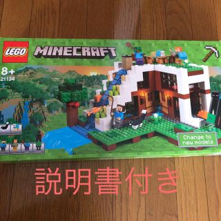 レゴ　マインクラフト　21134　滝のふもと　箱、説明書あり　正規品