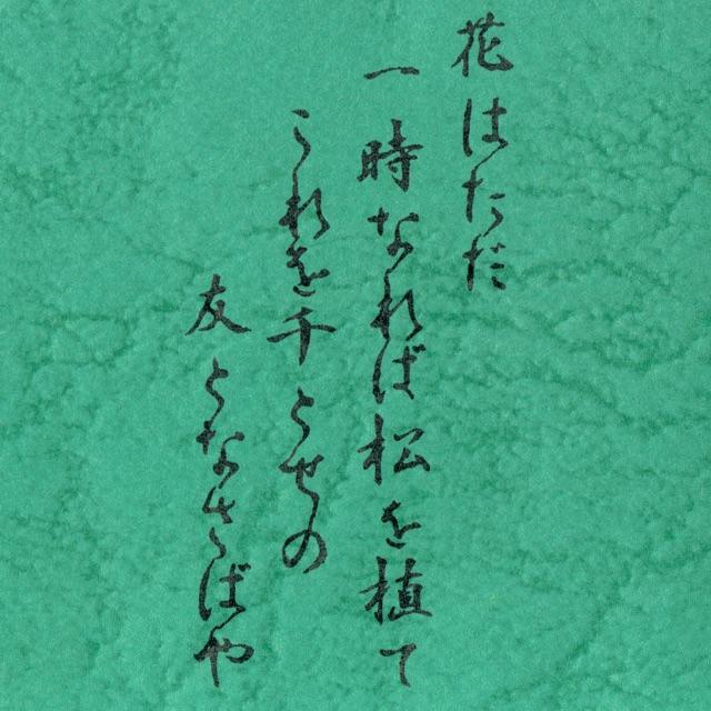 お抹茶　薄茶「千歳の友」上田宗箇流 第十六代 上田宗冏 御家元御好 袋入１００g 食品/飲料/酒の飲料(茶)の商品写真