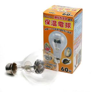 アサヒ(アサヒ)のアサヒ 保温電球 60v アオヤマ電陶ソケット付き セット(小動物)