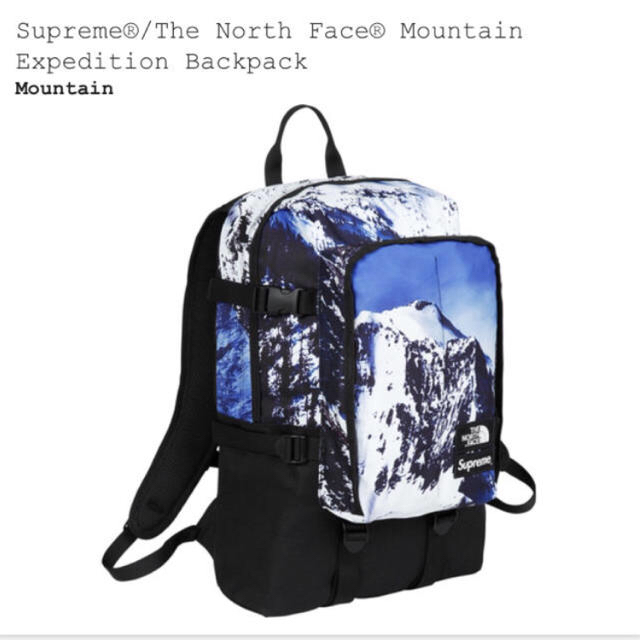 Supreme the north face backpack 雪山 新品