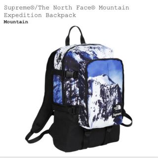 シュプリーム(Supreme)の新品 国内正規品 supreme × TNF 雪山 バッグパック(バッグパック/リュック)