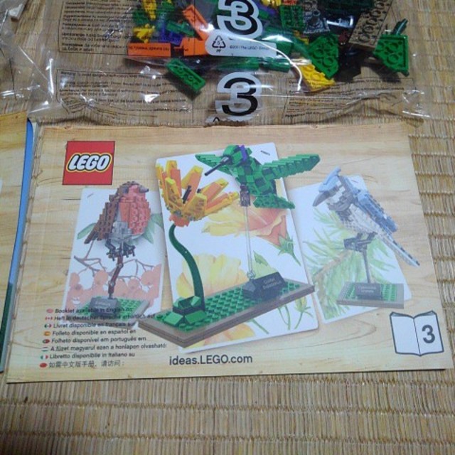 Lego - LEGO21301アイデア世界の鳥3種類のうち２種類作れる新品未開封 ...