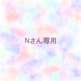 Nさん専用(その他)