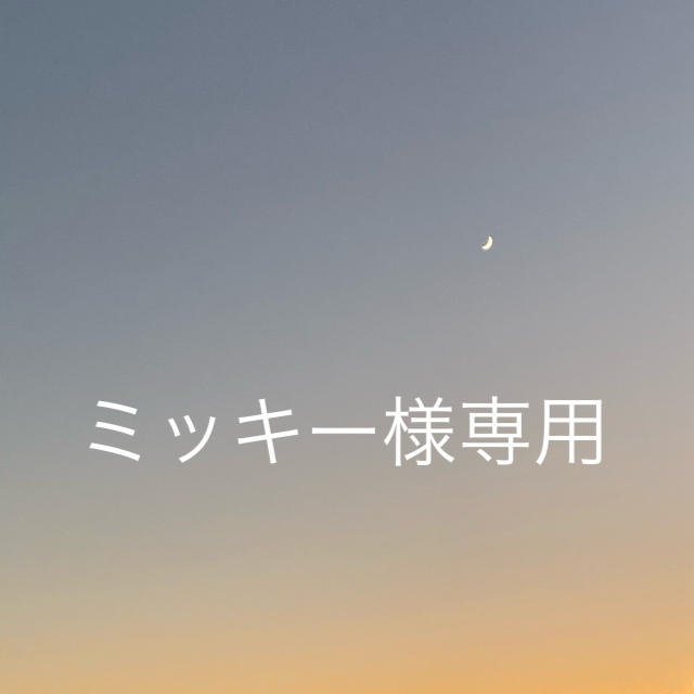 最新のデザイン ミッキー様専用ページ その他 - rinsa.ca