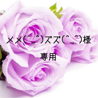 メメ(^_^)ズズ(^_^)様専用　お米　令和元年産　もち米　玄米10kg (米/穀物)