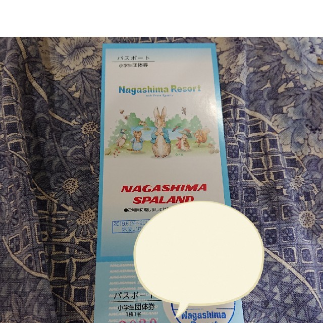 ちゅんちゅん様専用 ナガシマ パスポート 【現品限り一斉値下げ