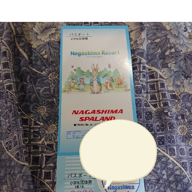 買ってみた ちゅんちゅん様専用 ナガシマ パスポート | komasutra.si