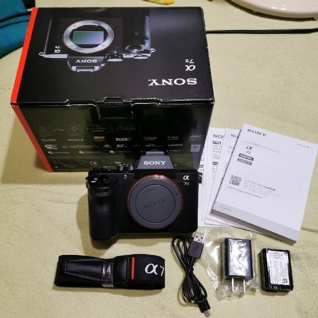 【ジャンク品】Sony α7Ⅱ（ボディ）＋付属品