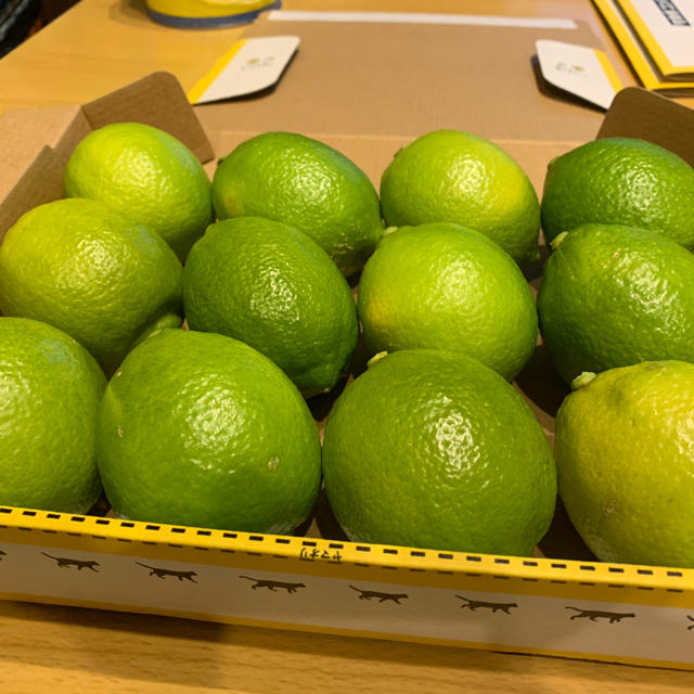愛媛県産グリーンレモン12個 食品/飲料/酒の食品(フルーツ)の商品写真