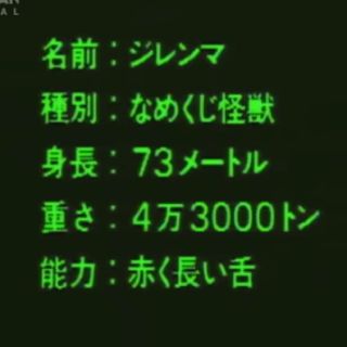 ロデオクラウンズワイドボウル(RODEO CROWNS WIDE BOWL)の柄ブラウン(トレーナー/スウェット)