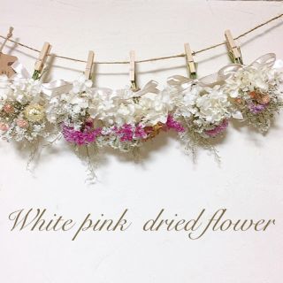 White pink アナベル  ドライフラワー ガーランド(ドライフラワー)