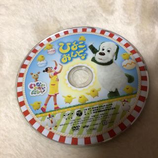 いないいないばあ　ひよこおんど　DVD(キッズ/ファミリー)