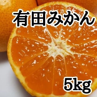 有田みかん(大玉)(フルーツ)