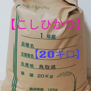 【コシヒカリ】精米20kg
格安訳あり令和元年産新米(米/穀物)
