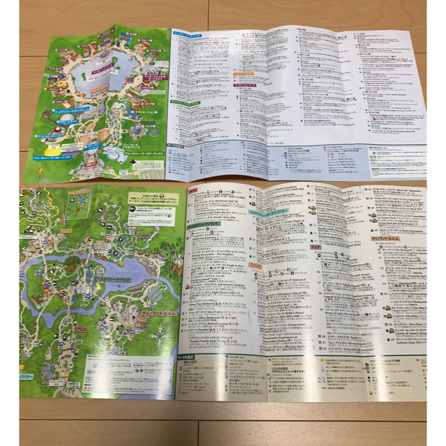 Disney(ディズニー)のwdw フロリダ ディズニーワールド 日本語 パンフレット 2019 エンタメ/ホビーの本(地図/旅行ガイド)の商品写真