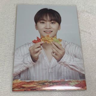 セブンティーン(SEVENTEEN)のode to you トレカ　スングァン(アイドルグッズ)