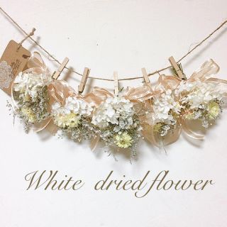 White ドライフラワー ガーランド(ドライフラワー)