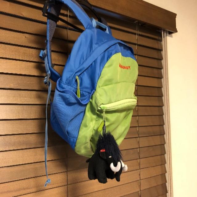 Mammut(マムート)のマムート リュックサック 子供用 中古 キッズ/ベビー/マタニティのこども用バッグ(リュックサック)の商品写真