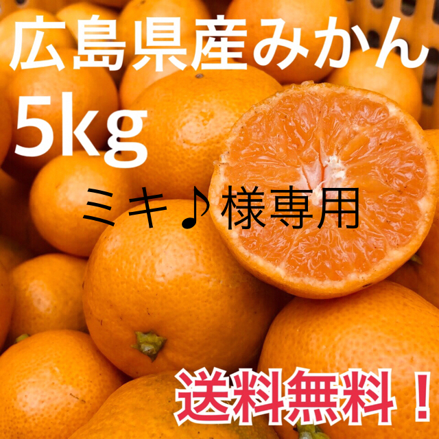 大崎上島産 みかん 5kg 広島 瀬戸内 食品/飲料/酒の食品(フルーツ)の商品写真