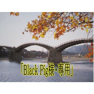 「Black Pig様・専用」ペン先交換式木製軸１本・ガラスペン７本セット(コミック用品)