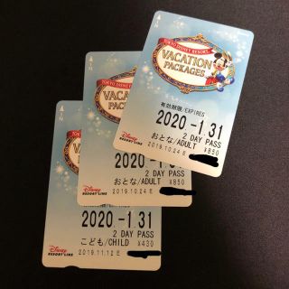 ディズニー(Disney)のバケーションパッケージ　 ディズニーリゾートライン PASS(その他)