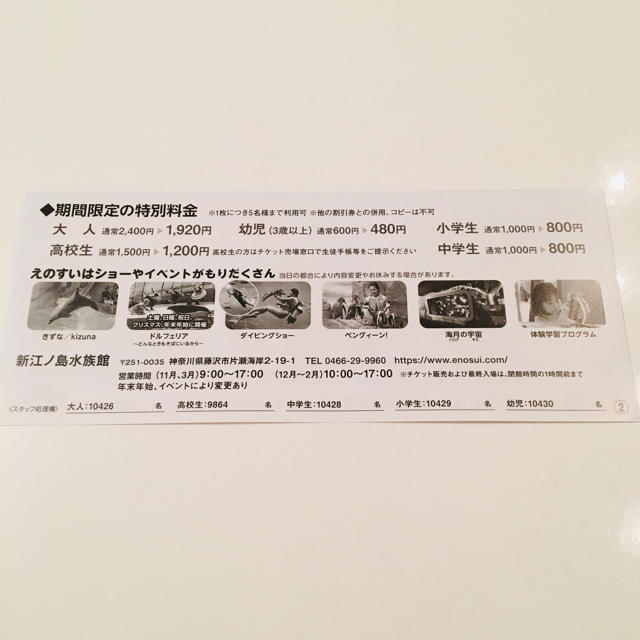新江ノ島水族館　割引券 チケットの施設利用券(水族館)の商品写真