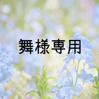 舞様専用  お米　令和元年　愛媛県産キヌヒカリ　白米　10㎏(米/穀物)
