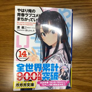 やはり俺の青春ラブコメはまちがっている。 １４(文学/小説)