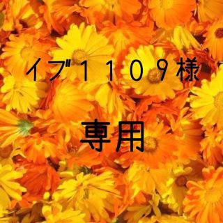 イブ１１０９様専用  お米　令和元年　愛媛産ミルキークイーン　白米　20㎏(米/穀物)