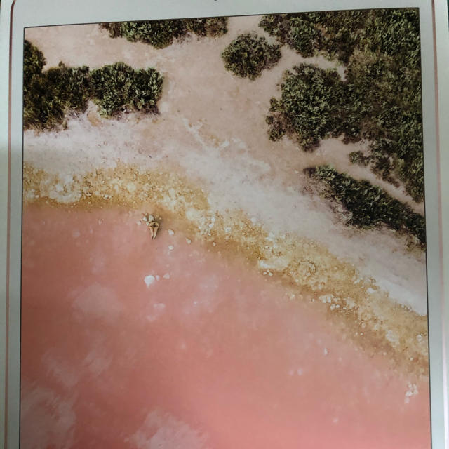 iPad Pro 10.5 美品 スマホ/家電/カメラのPC/タブレット(タブレット)の商品写真