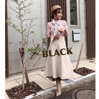 eimyistoire バックロングスイッチフレアスカート ブラック