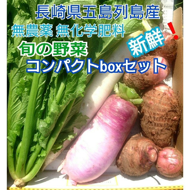 無農薬❗新鮮野菜セット〈コンパクトbox〉(ラインナップのこ確認を) 五島列島産 食品/飲料/酒の食品(野菜)の商品写真