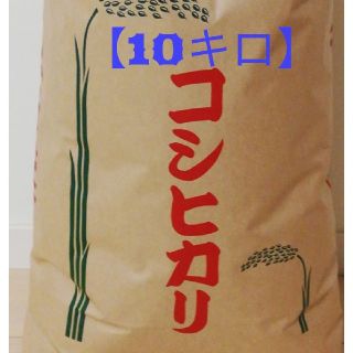 お試しサイズの【コシヒカリ】精米10kg
格安訳あり令和元年産新米 (米/穀物)