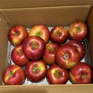 長野県産りんご1級品✨かなり美味しい林檎✨早い者勝ち！フジ✨お歳暮や年末に(フルーツ)