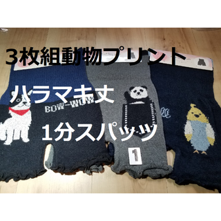 お値下げ！(1)３枚組腹巻き丈１分スパッツレギンス動物プリントニットふわふわ素材(レギンス/スパッツ)