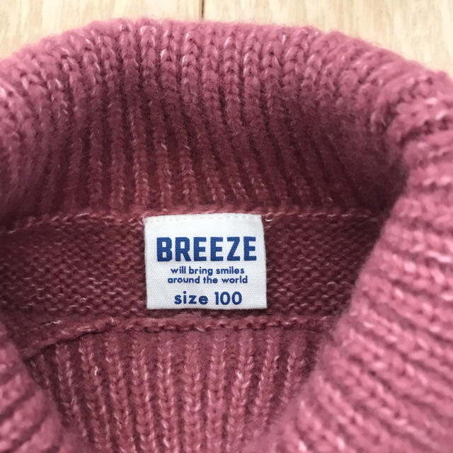 BREEZE(ブリーズ)のブリーズ 女の子セーター 100cm キッズ/ベビー/マタニティのキッズ服女の子用(90cm~)(ニット)の商品写真