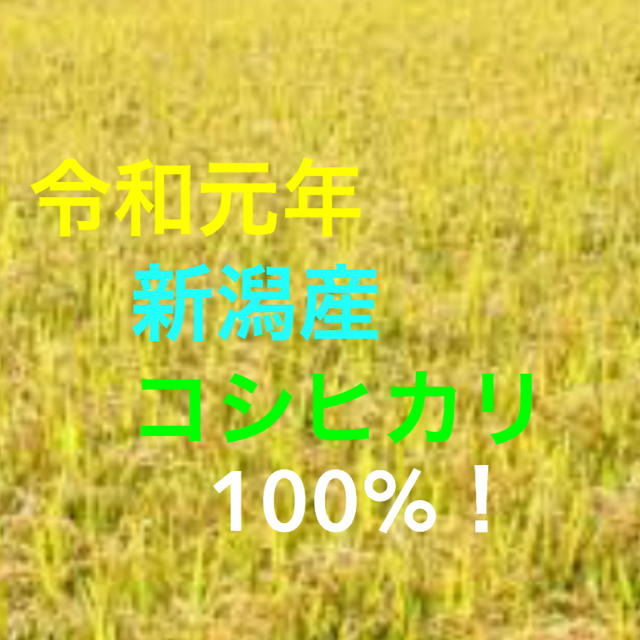 コシヒカリ　令和元年収穫　新潟産　米/穀物　玄米　30キロ