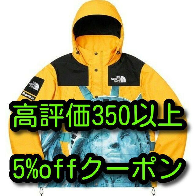 THE NORTH FACE Mountain Jacket WM L