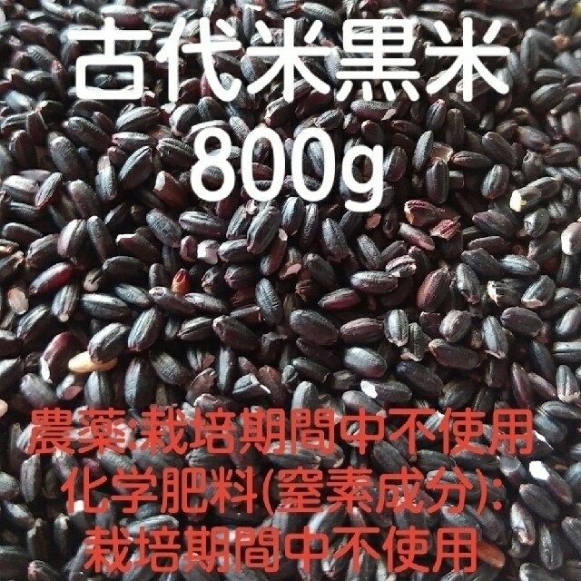 訳あり☆古代米黒米800g 食品/飲料/酒の食品(米/穀物)の商品写真